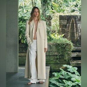 NWT Zara long frock coat